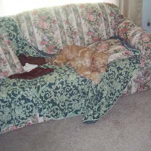 Meet your Posher, Mark